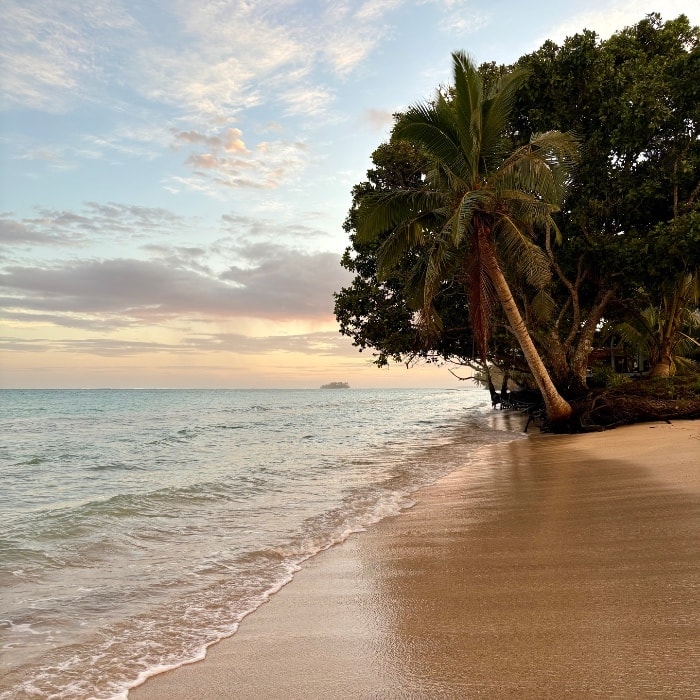 Simply Being Here