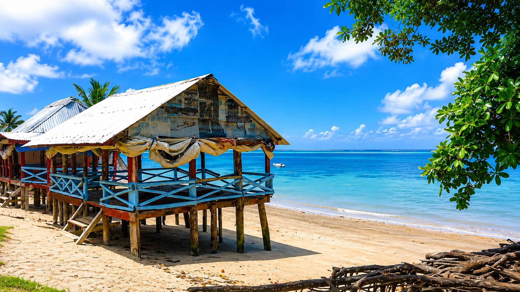 fale — photo 1