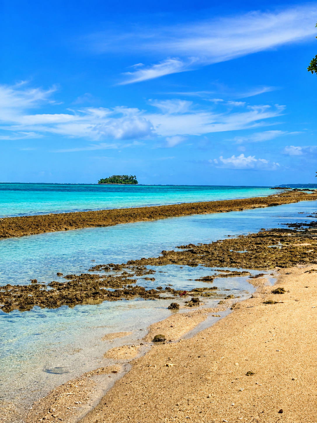 Turquoise Pacific lagoon
